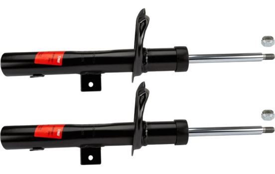 Amortisseur TRW TWIN JGM7689T, Image 2
