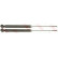 Amortisseur TRW TWIN JGT1140T, Vignette 2