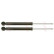 Amortisseur TRW TWIN JGT467T