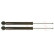 Amortisseur TRW TWIN JGT467T, Vignette 2