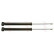 Amortisseur TRW TWIN JGT585T