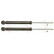 Amortisseur TRW TWIN JGT589T, Vignette 2