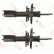 Amortisseur TRW TWIN JHM1022T, Vignette 2