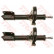 Amortisseur TRW TWIN JHM636T