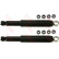 Amortisseur TRW TWIN JHT102T