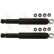Amortisseur TRW TWIN JHT102T, Vignette 2