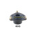 Coupelle de suspension, Vignette 2