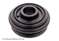 Se pavaner ADBP800216 Blue Print