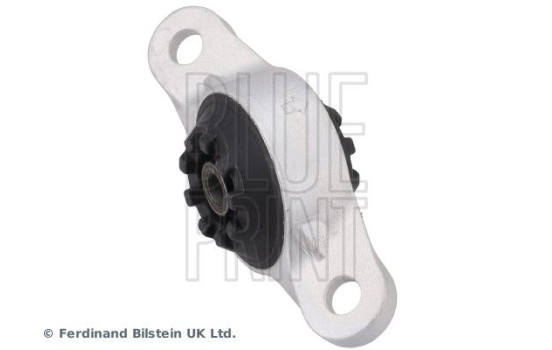 Se pavaner ADBP800793 Blue Print