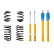 Jeu de suspensions, ressorts/amortisseurs BILSTEIN - B12 Pro-Kit