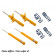 Jeu de suspensions, ressorts/amortisseurs SPORT