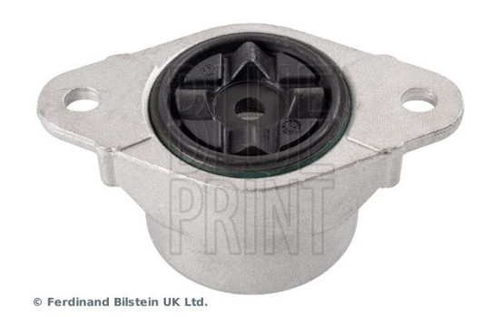 Se pavaner ADBP800390 Blue Print