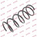 Ressort de suspension K-Flex RA1984 Kayaba