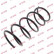 Ressort de suspension K-Flex RA2048 Kayaba