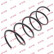 Ressort de suspension K-Flex RA3096 Kayaba
