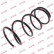Ressort de suspension K-Flex RA3454 Kayaba
