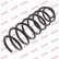 Ressort de suspension K-Flex RA3789 Kayaba
