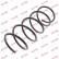 Ressort de suspension K-Flex RA3795 Kayaba