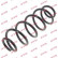 Ressort de suspension K-Flex RA6141 Kayaba