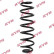 Ressort de suspension K-Flex RA6161 Kayaba