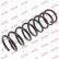 Ressort de suspension K-Flex RA6200 Kayaba