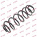 Ressort de suspension K-Flex RA6996 Kayaba