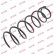 Ressort de suspension K-Flex RC2287 Kayaba