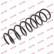 Ressort de suspension K-Flex RC6695 Kayaba