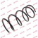 Ressort de suspension K-Flex RD1210 Kayaba, Vignette 2