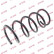 Ressort de suspension K-Flex RD3139 Kayaba, Vignette 2