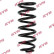 Ressort de suspension K-Flex RF6298 Kayaba, Vignette 2