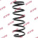 Ressort de suspension K-Flex RG1009 Kayaba
