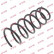 Ressort de suspension K-Flex RG1130 Kayaba