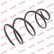 Ressort de suspension K-Flex RG1351 Kayaba