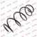 Ressort de suspension K-Flex RG1368 Kayaba