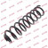 Ressort de suspension K-Flex RG3157 Kayaba