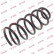 Ressort de suspension K-Flex RG5216 Kayaba