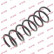 Ressort de suspension K-Flex RG6793 Kayaba