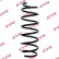 Ressort de suspension K-Flex RH1031 Kayaba, Vignette 2