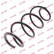 Ressort de suspension K-Flex RH2710 Kayaba