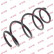Ressort de suspension K-Flex RH2719 Kayaba