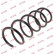 Ressort de suspension K-Flex RH3288 Kayaba