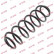 Ressort de suspension K-Flex RH5498 Kayaba