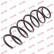 Ressort de suspension K-Flex RH6070 Kayaba