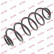 Ressort de suspension K-Flex RH6620 Kayaba