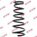 Ressort de suspension K-Flex RI6102 Kayaba, Vignette 2
