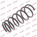 Ressort de suspension K-Flex RI6109 Kayaba