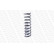 Ressort de suspension MONROE SPRINGS SE3315, Vignette 3