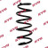 Ressort de suspension RA1070 Kayaba