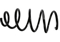 SACHS Plume 993 825
